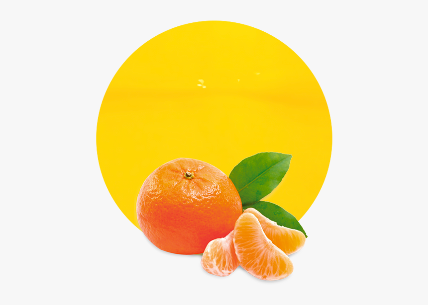 Tangerine Cartoon Png, Transparent Png, Free Download