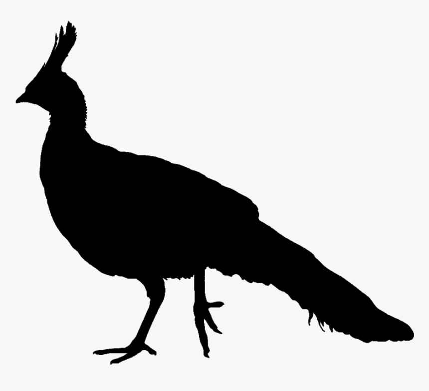 Silhouette Clipart Peacock - Peacock Silhouette Png, Transparent Png, Free Download