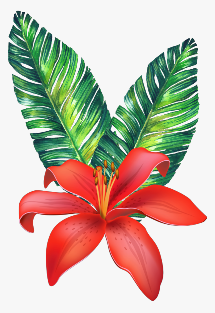 #flower #tropical #freetoedit - Vector Tropical Flowers Png, Transparent Png, Free Download