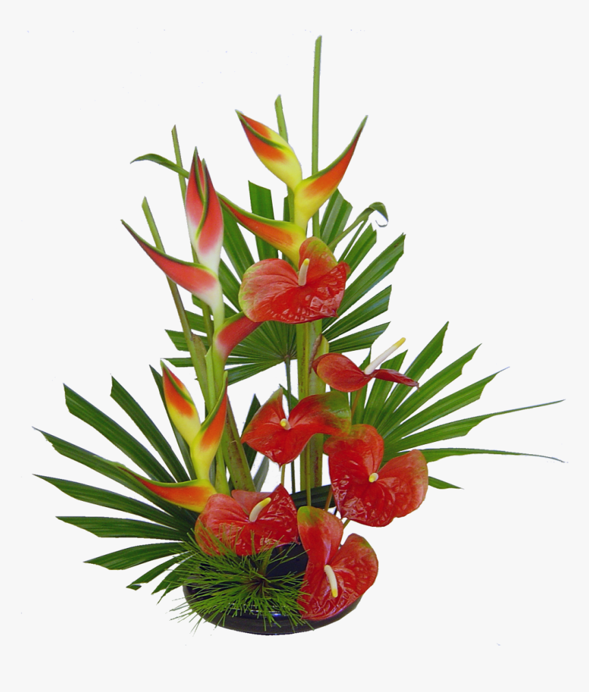 Tropical Flower Arrangements Ideas, HD Png Download, Free Download
