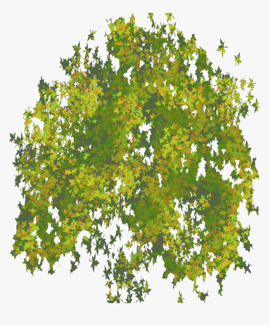 Png Illustrator Top View Trees , Png Download - Portable Network Graphics, Transparent Png, Free Download