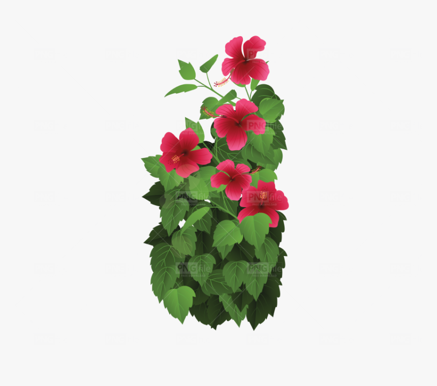 Tropical Rainforest Drawing Flowers, HD Png Download, Free Download