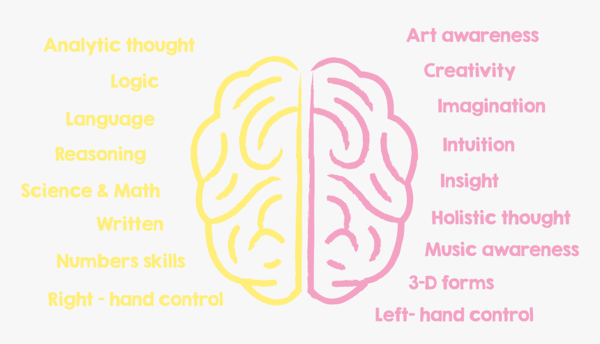 Fun, Creative Exercises And The Use Of Sound Waves, - Brain Math Logo, HD Png Download, Free Download