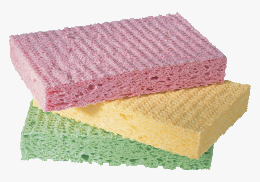 Sponge Png Image, Transparent Png, Free Download