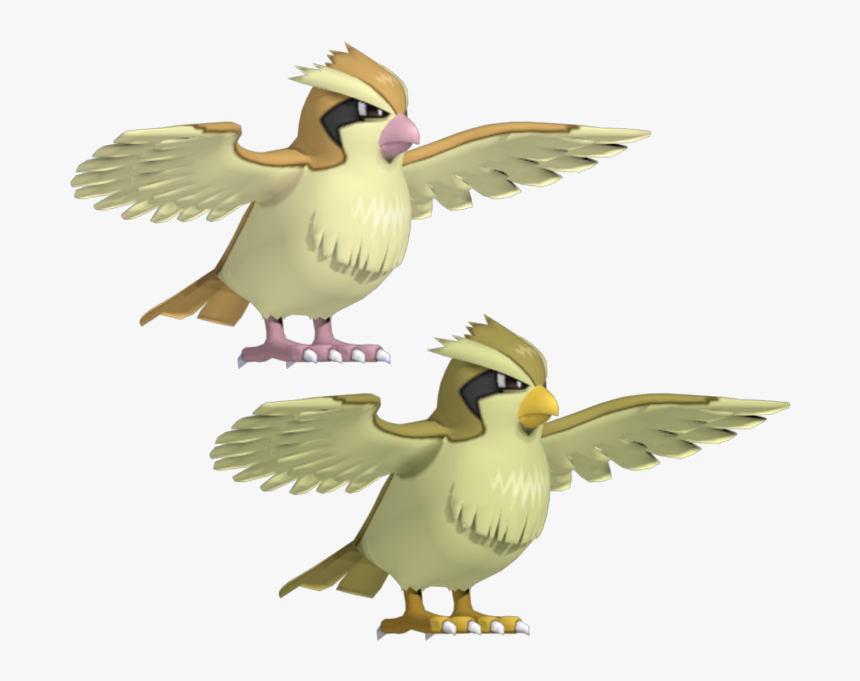 Download Zip Archive - Pokemon Pidgey 3d Model, HD Png Download, Free Download