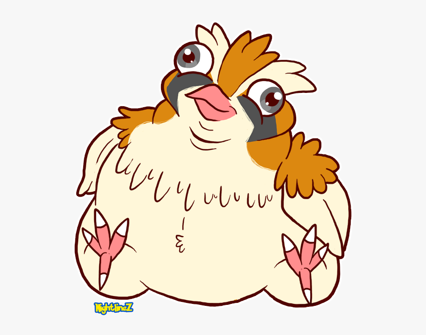 Derpy Pidgey - Pidgey Derp, HD Png Download, Free Download