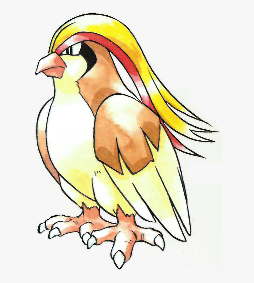 Transparent Pidgey Png - Pidgeot Pokemon, Png Download, Free Download