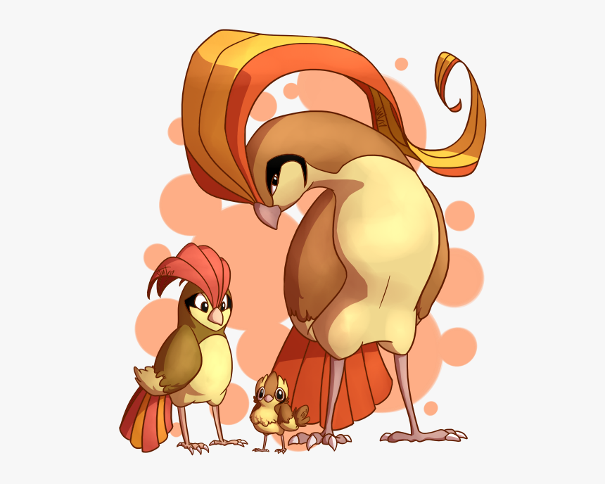 Pidgey Pidgeotto Pidgeot - Pokemon Pidgey Pidgeotto Pidgeot, HD Png Download, Free Download