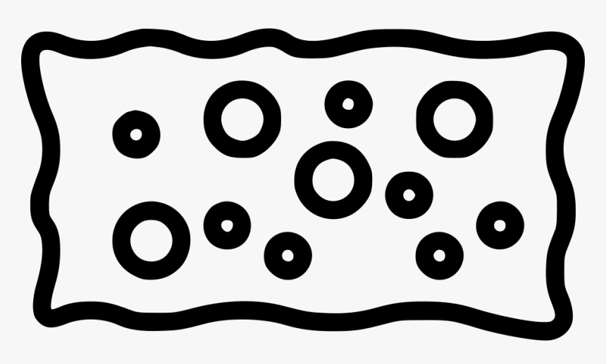 Sponge - Circle, HD Png Download, Free Download