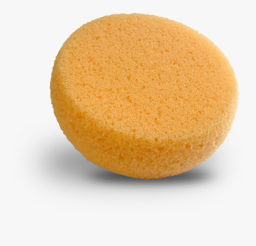 Foam "hydra - Sea Sponge Makeup Applicator, HD Png Download, Free Download