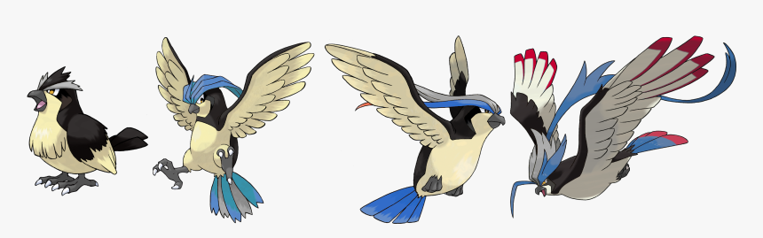 Pokemon Pidgeot, HD Png Download, Free Download