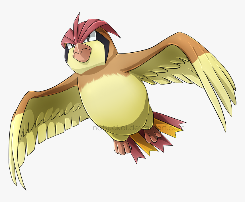 Pidgeotto Render, HD Png Download, Free Download