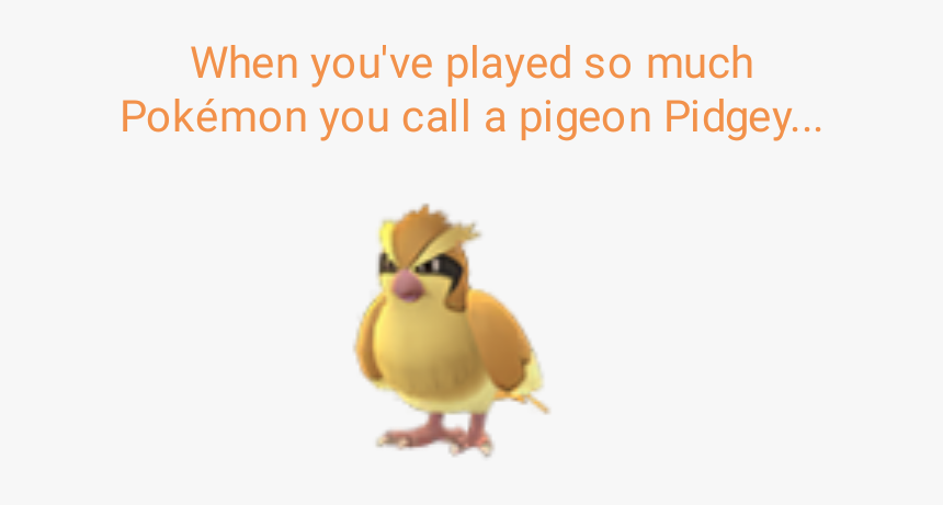 Pokemon Go Pidgey Png, Transparent Png, Free Download