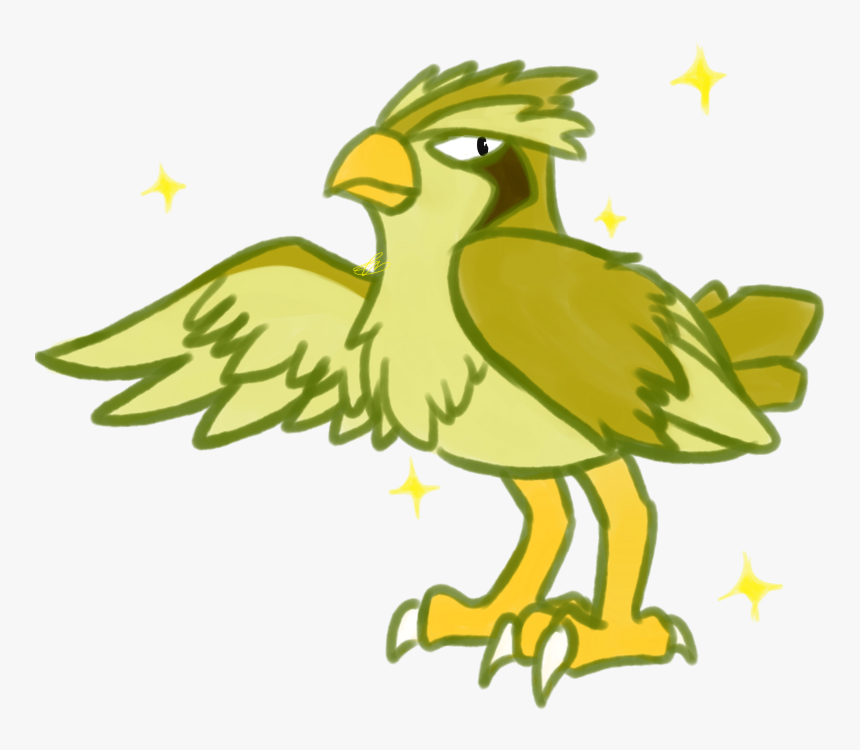 I’ve Never Drawn A Pidgey Before And The Longer Than - Parrot, HD Png Download, Free Download
