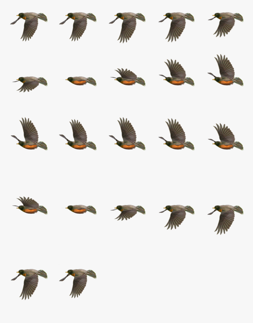 Bird Sprite Png - Bird Flying Sprite Sheet, Transparent Png, Free Download