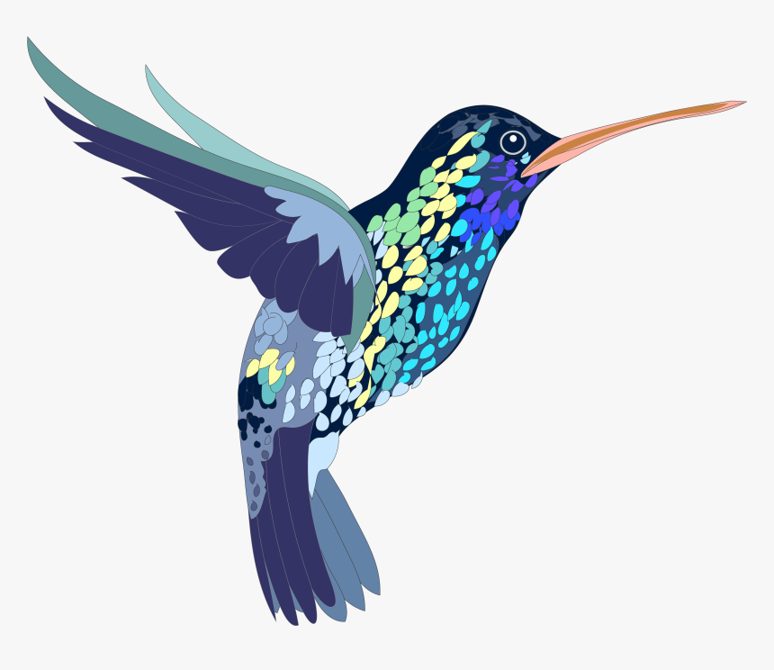 Png, Bird, Hummingbird, Colorful, Illustration, Shapes - Realistic Animal Clip Art, Transparent Png, Free Download