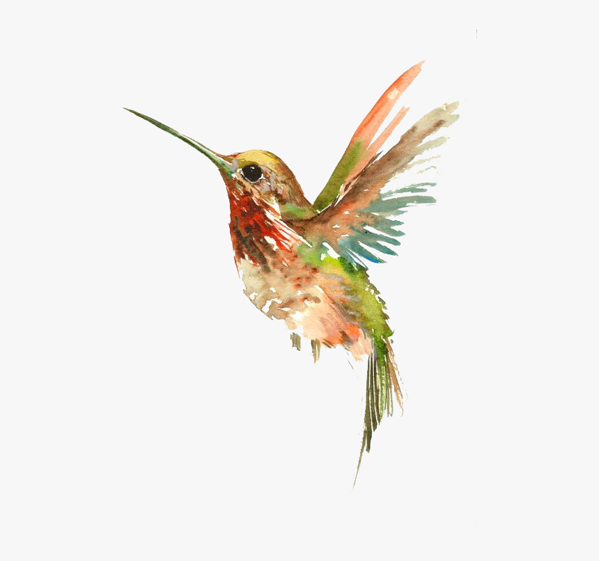 Tattoo Flying Watercolor Painting Bird Hummingbird - Cool Watercolor Hummingbird Tattoo, HD Png Download, Free Download