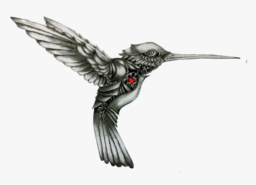 Hummingbird Drawing Tattoo Color Black And White Hummingbird Tattoo Hd Png Download Kindpng