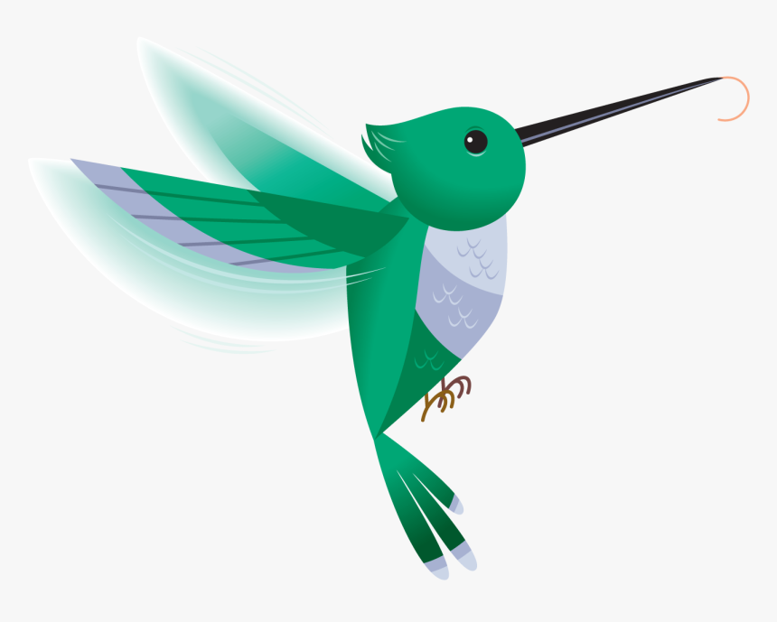 Hummingbird Images Hd Photos Clipart - Hummingbird Clipart Transparent Background, HD Png Download, Free Download