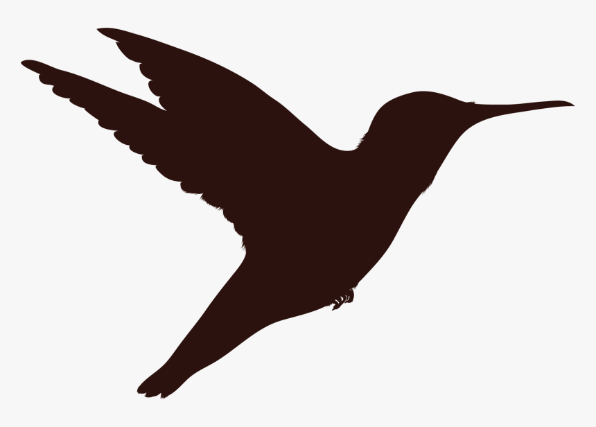 Hummingbird, HD Png Download, Free Download