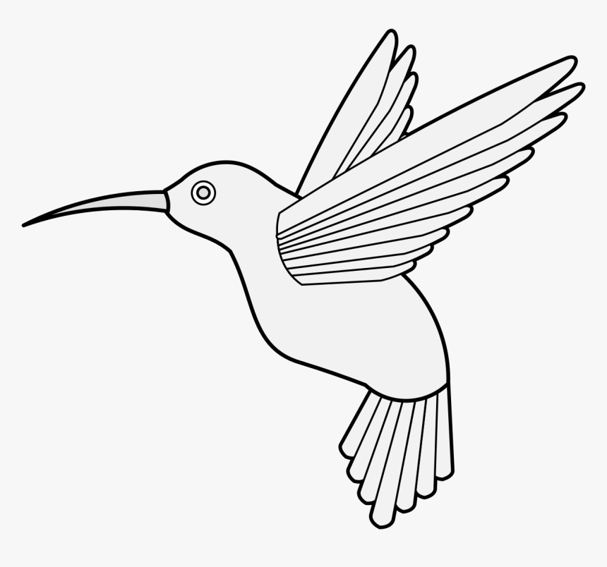 Transparent Hummingbird Svg, HD Png Download, Free Download