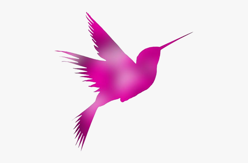 Hummingbird Png, Transparent Hummingbird Clipart - Hummingbird, Png Download, Free Download