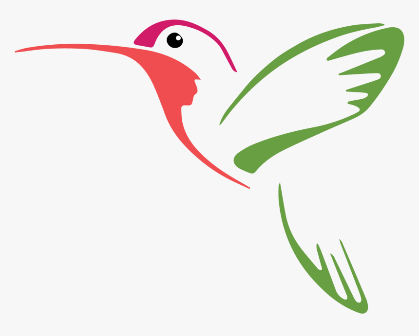 Hummingbird Vector Graphics Drawing Illustration - Hummingbird Painted On Rocks, HD Png Download, Free Download