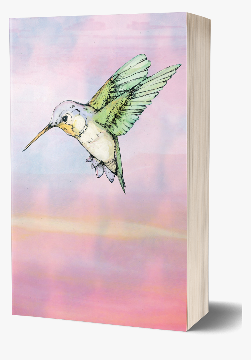 Hummingbird [red Sunset Cover - Hummingbird Art Jude Angelini Review, HD Png Download, Free Download