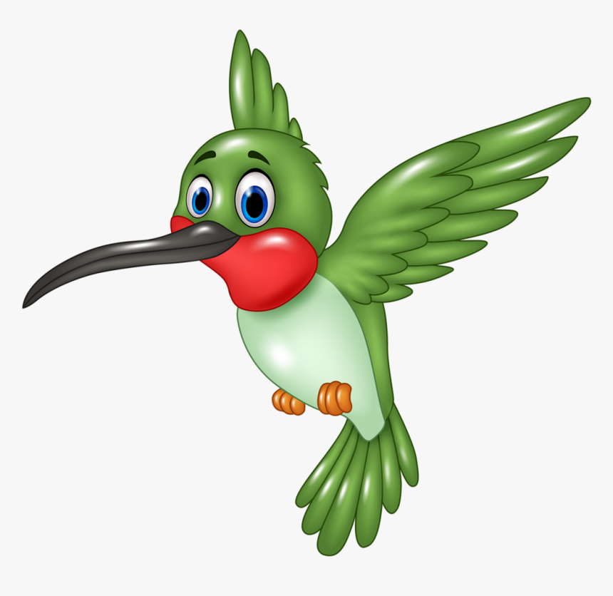 Hummingbird Clipart Simple - Hummingbird Cartoon, HD Png Download, Free Download