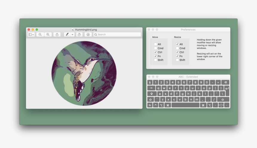 Hummingbird Png, Transparent Png, Free Download