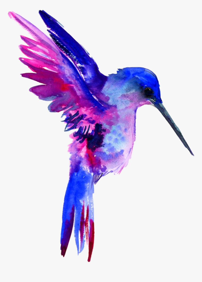 Watercolor Hummingbird Clipart Free - Hummingbird Clipart Watercolor, HD Png Download, Free Download