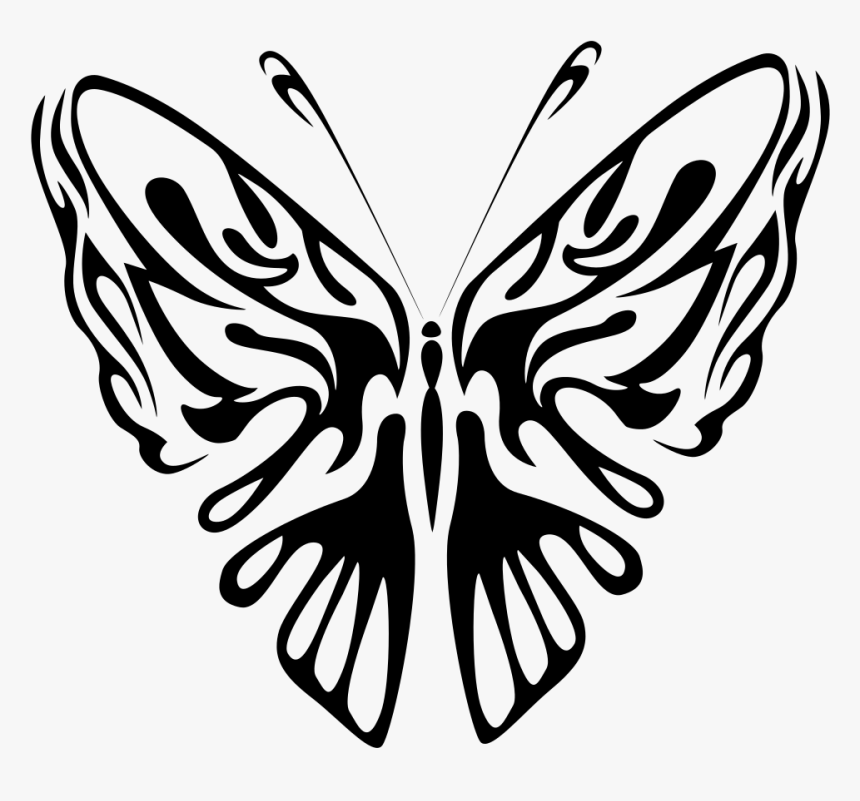 Butterfly Line Art - Butterfly Black Line Drawing, HD Png Download, Free Download