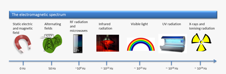 Electromagnetic Spectrum Pictures Examples, HD Png Download, Free Download