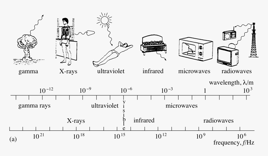 Example Of Radio Waves Electromagnetic Spectrum, HD Png Download, Free Download