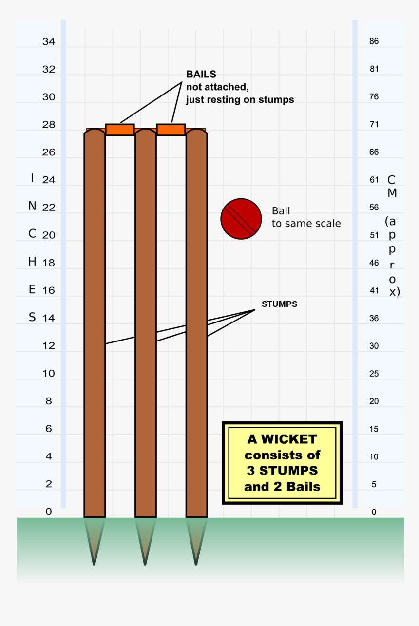 Parts Of A Wicket, HD Png Download, Free Download