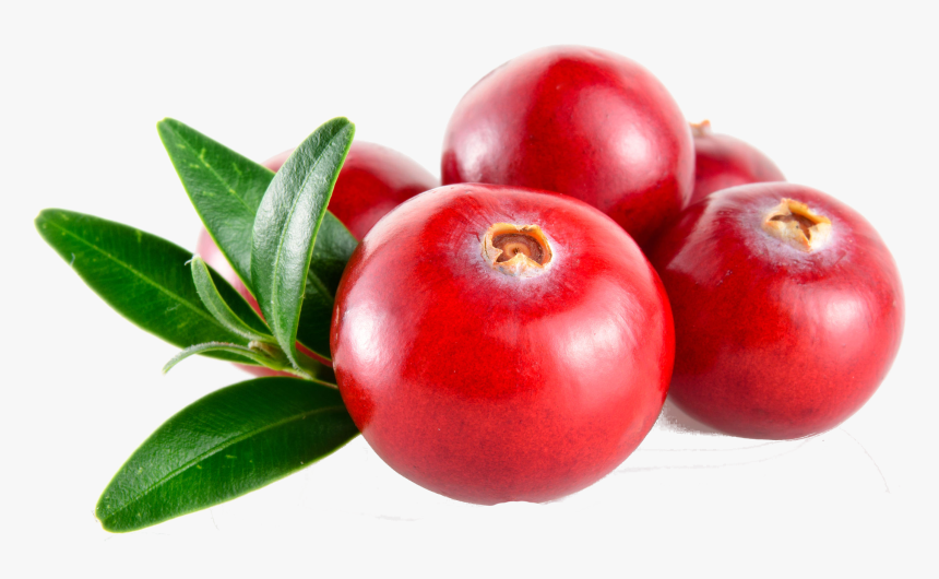 Garcinia-indica - Cranberry Png, Transparent Png, Free Download