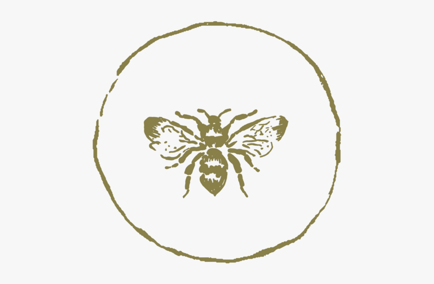 Icon-bee - Illustration, HD Png Download, Free Download