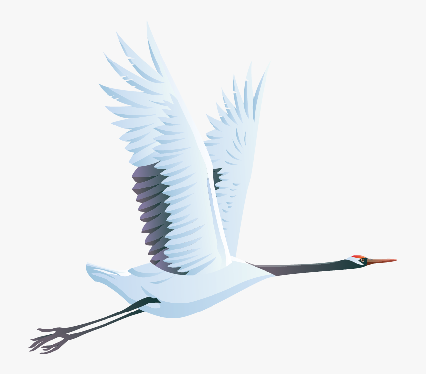 Bird, HD Png Download, Free Download