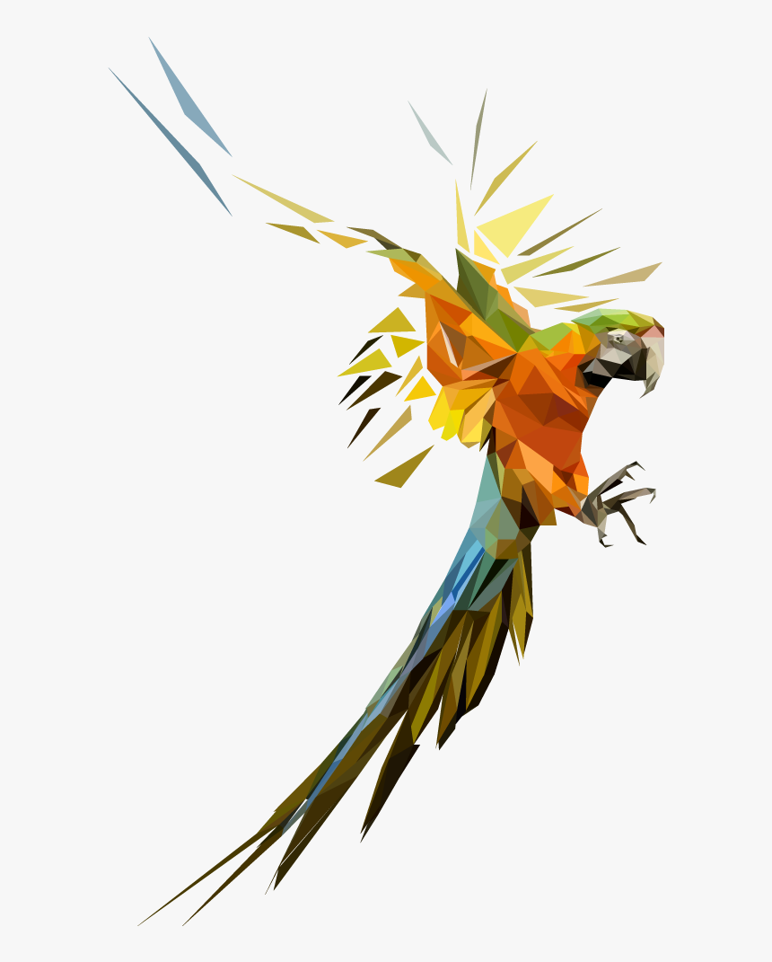 Vector Parrot Polygonal - Colorful Flying Birds Png, Transparent Png, Free Download