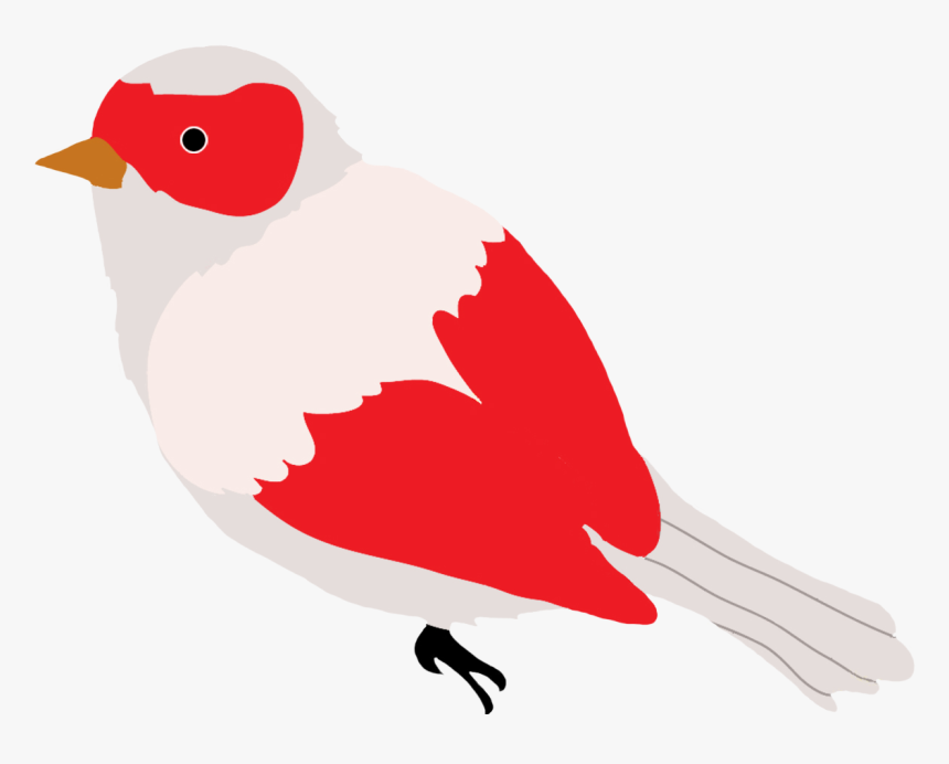 Red And Grey Colored Bird Drawing - Coloredbird Drawing, HD Png Download, Free Download