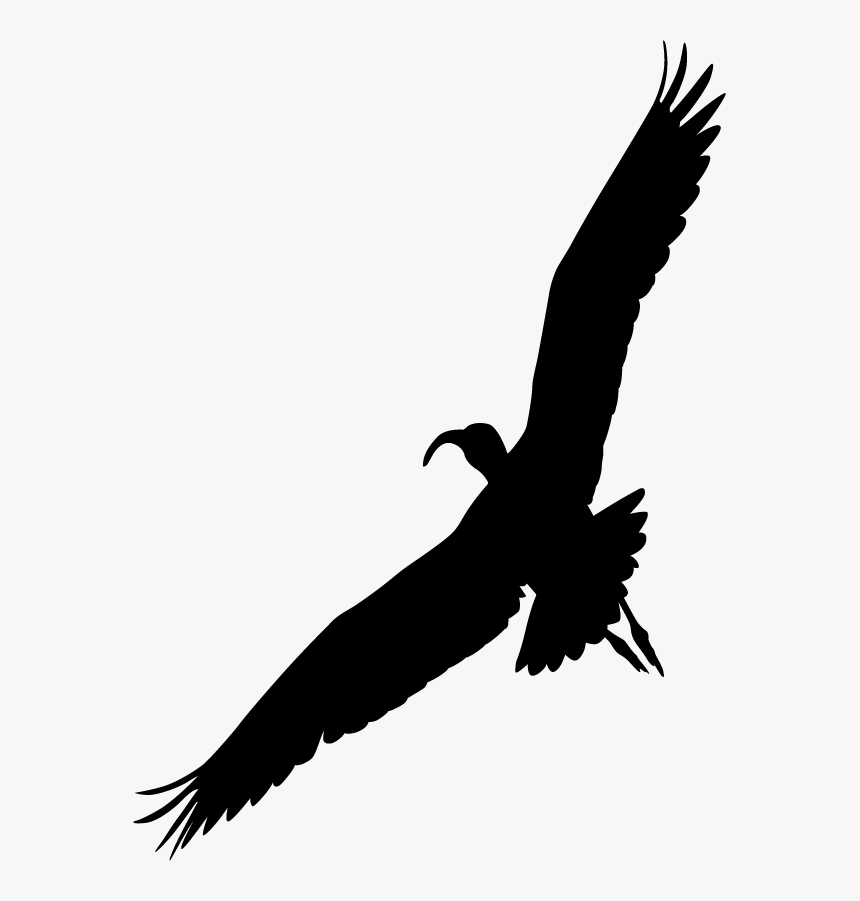 Bird Of Prey, HD Png Download, Free Download