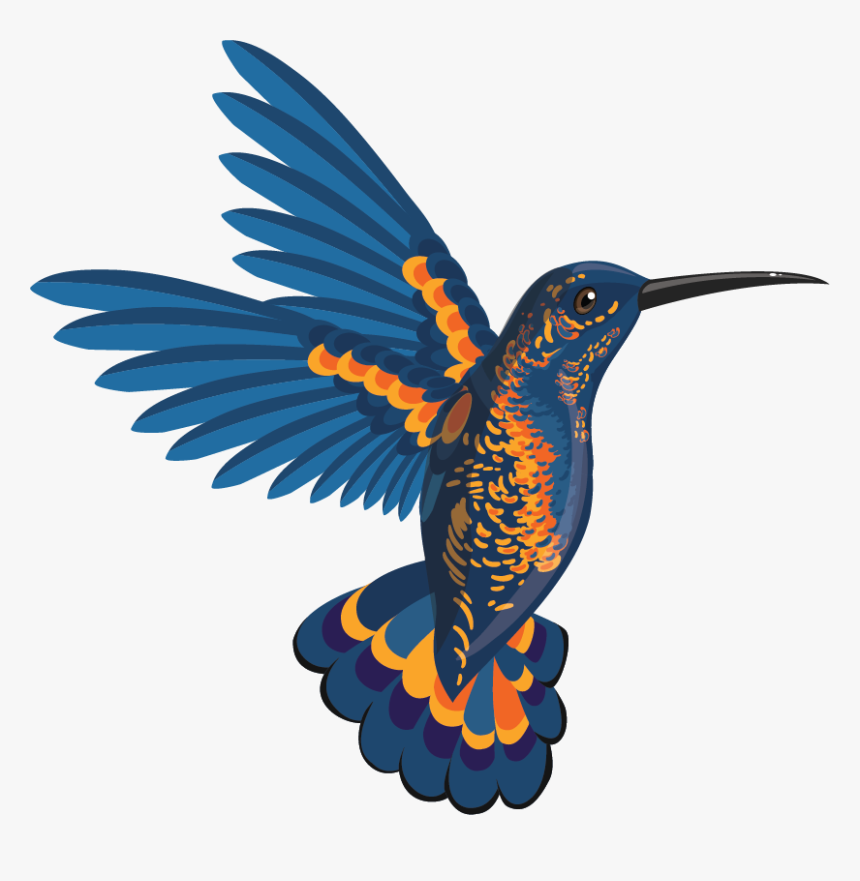 Bird In Flight Illustration, HD Png Download, Free Download