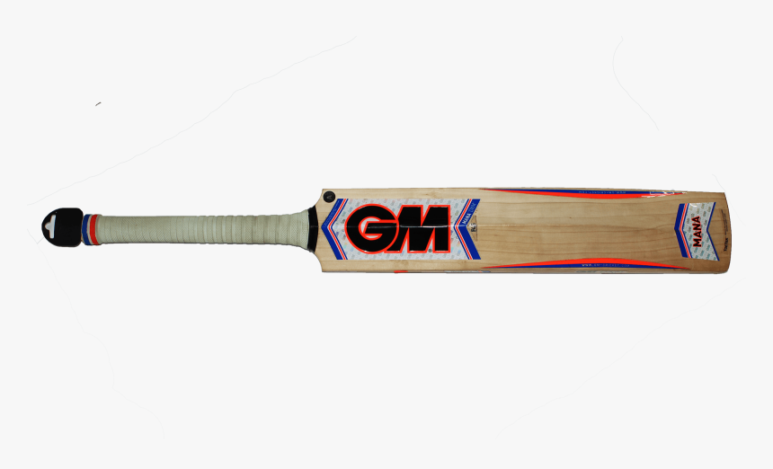 Cricket, HD Png Download, Free Download