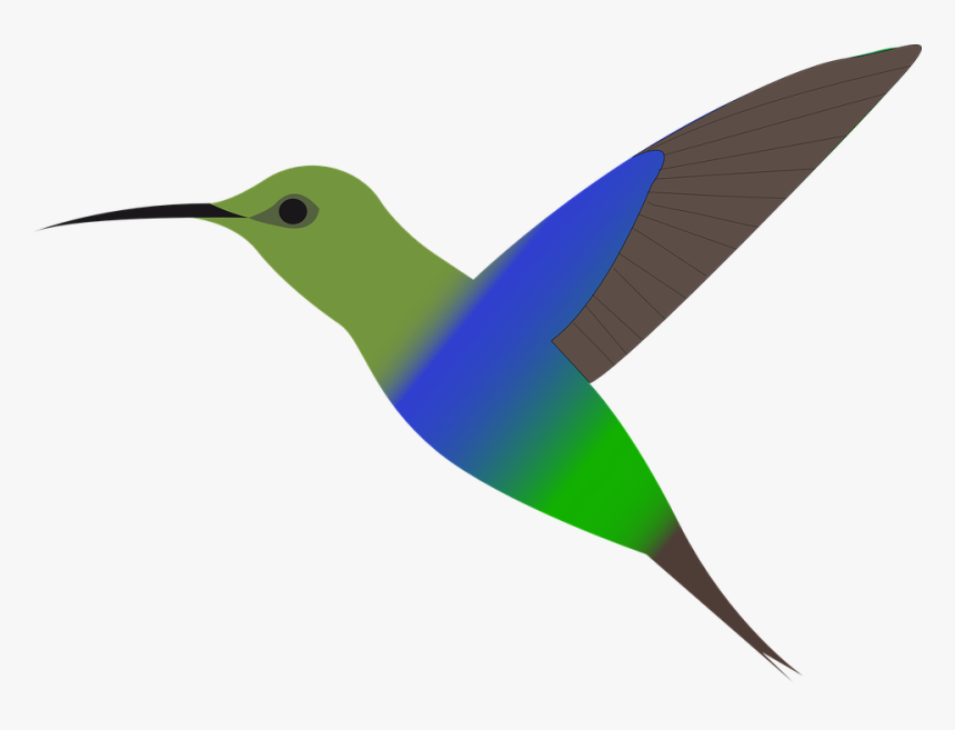 Bird, Humming-bird, Hummingbird, Flying, Colorful - Hummingbird Clipart Free, HD Png Download, Free Download
