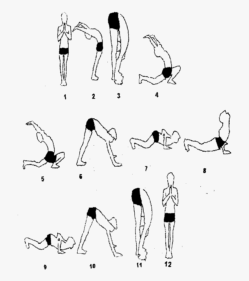 Surya Namaskar , Png Download - Postures Of Surya Namaskar, Transparent Png, Free Download