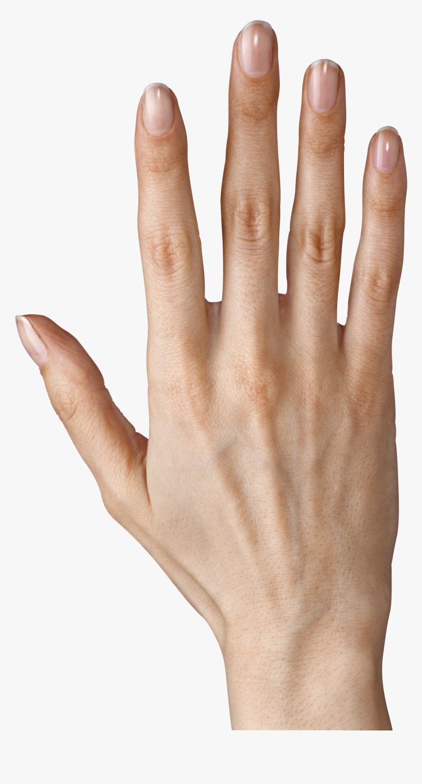 Hand Showing Five Fingers Png Clipart Image - Girl Fingers Png, Transparent Png, Free Download