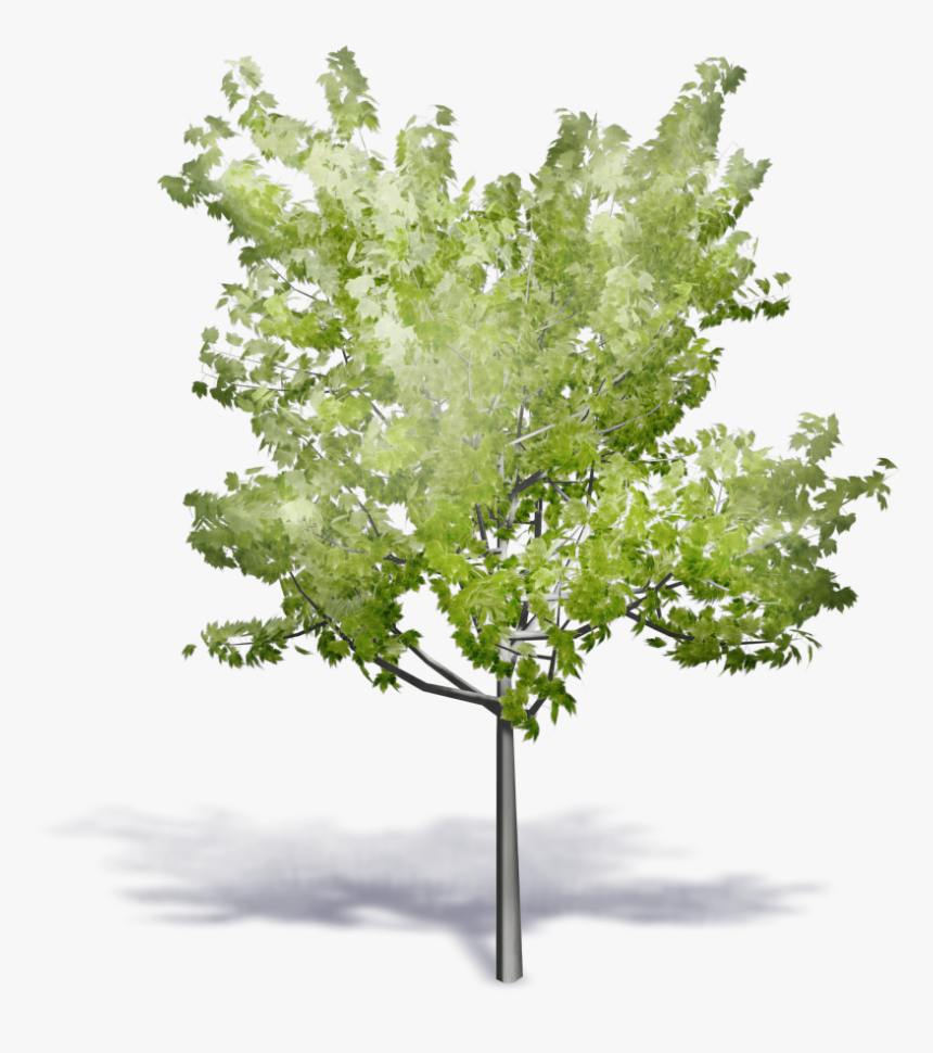 Axonometrie Tree, HD Png Download, Free Download