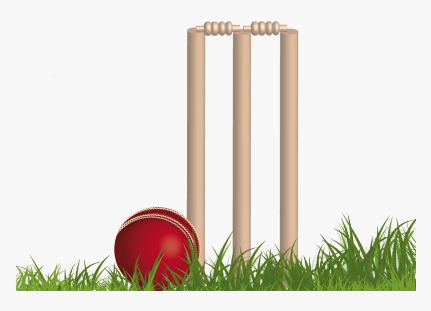 Cricket Png Background Image - Background Cricket Images Png, Transparent Png, Free Download