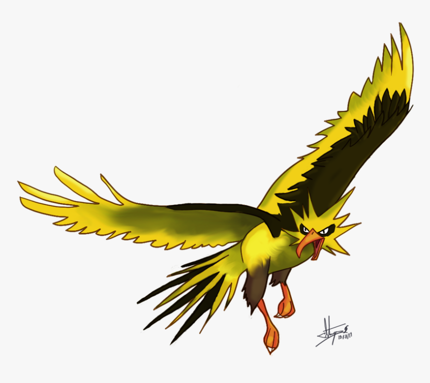 Zapdos Drawing Flying - Zapdos, HD Png Download, Free Download