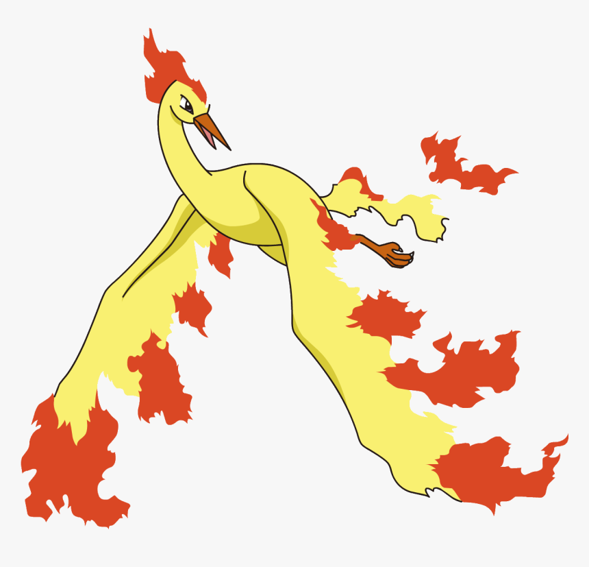 Moltres Pokemon, HD Png Download, Free Download